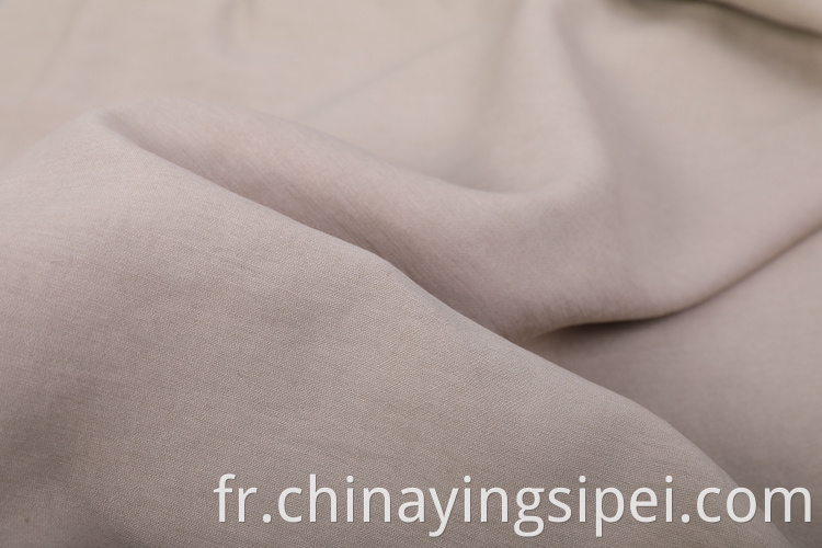 1008 China Gold Fournisseur Stock Eco Friendly Woven Plain Polyester Rayon tissu